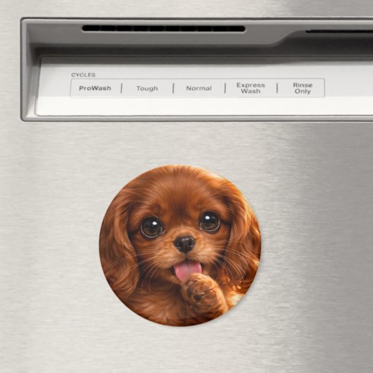 Aimant Adorable Ruby Cavalier Spaniel (In Situ (Lave-vaisselle))