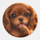 Aimant Adorable Ruby Cavalier Spaniel (Devant)