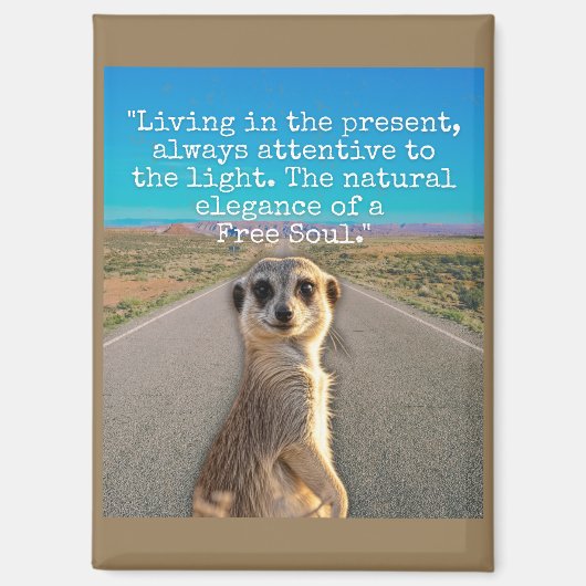 Aimant Adventurous Meerkat Living (Recto)