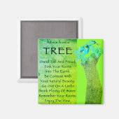 Aimant Advice from (Recto/Verso)