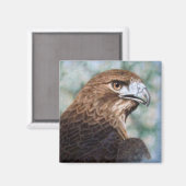 Aimant Aérographe à queue rouge (Recto/Verso)