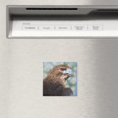 Aimant Aérographe à queue rouge (In Situ (Lave-vaisselle))