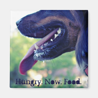 Aimant affamé pour réfrigérateur