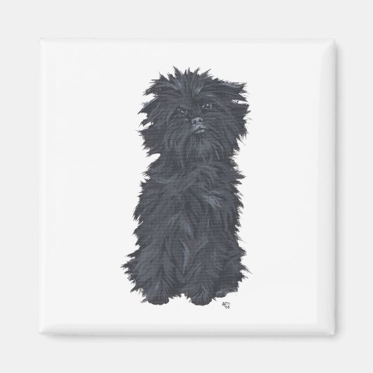 Aimant Affenpinscher assis (Devant)