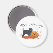 Aimant Affenpinscher Halloween (Recto/Verso)