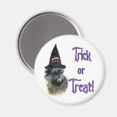 Aimant Affenpinscher Trick (Recto/Verso)