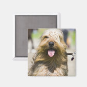 Aimant affichage de langue, cheveux longs, portrait (Recto/Verso)