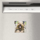 Aimant affichage de langue, cheveux longs, portrait (In Situ (Lave-vaisselle))