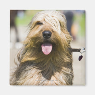 Aimant affichage de langue, cheveux longs, portrait