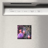 Aimant Affichage Fireworks (In Situ (Lave-vaisselle))