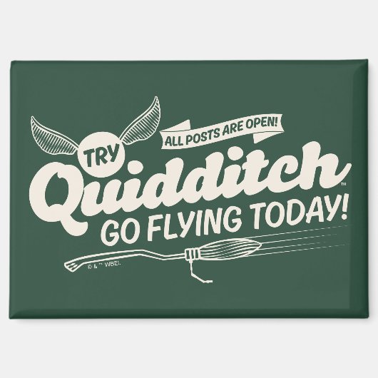 Aimant Affiche de recrutement de QUIDDITCH™ (Recto)