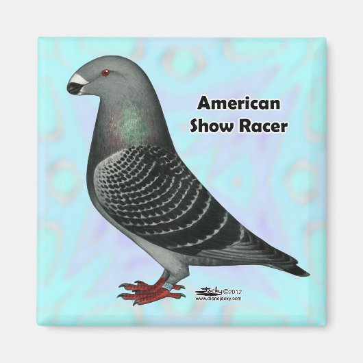 Aimant Afficher l'ASR racer (Devant)