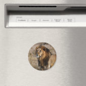 Aimant African Lion (In Situ (Lave-vaisselle))