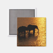 Aimant Afrique, Botswana, delta de l'Okavango. Africain (Recto/Verso)