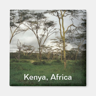 Aimant Afrique Kenya terres sauvages