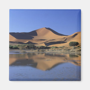Aimant Afrique, Namibie, Parc national du Namib, Sossusvl