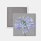 Aimant Agapanthus bleu (Recto/Verso)