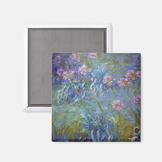 Aimant Agapanthus, Monet (Recto/Verso)