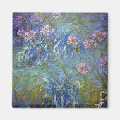 Aimant Agapanthus, Monet (Devant)