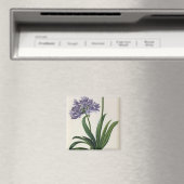 Aimant Agapanthus umbrellatus (In Situ (Lave-vaisselle))