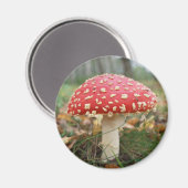 Aimant Agaric rouge mouche (Recto/Verso)