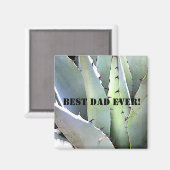 Aimant Agave Plante Succulent Bleu Cactus Tequila Désert (Recto/Verso)