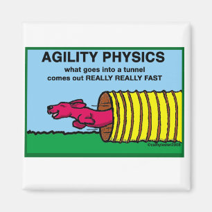Aimant AgilityPhysics