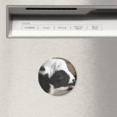 Aimant Agneau nouveau-né (In Situ (Lave-vaisselle))