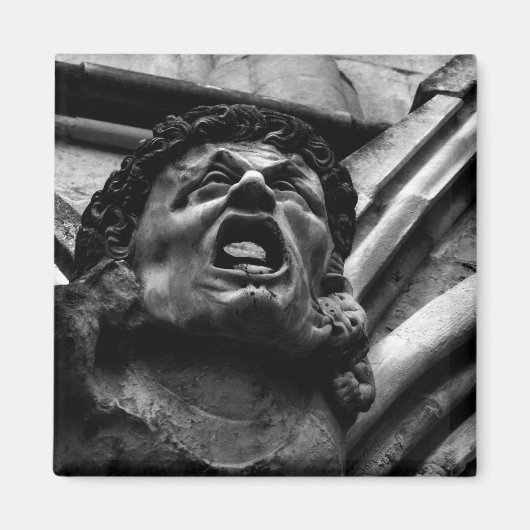 Aimant Agonie de la morsure Imps Gargoyle gothique (Devant)