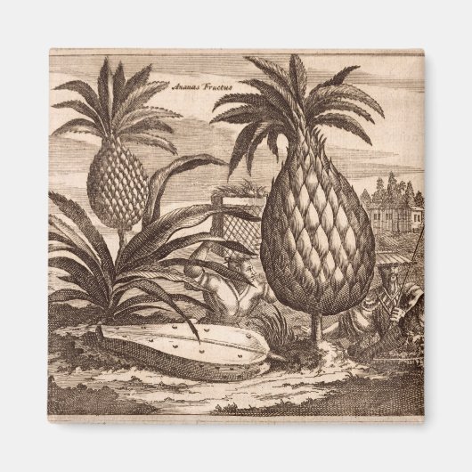 Aimant Agriculture de grands ananas, illustration d'un de (Devant)