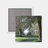 Aimant Agrumes d'olive (Recto/Verso)