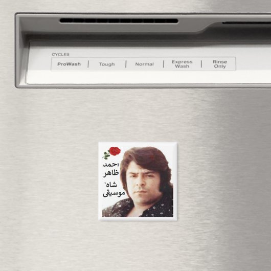 Aimant Ahmad Zahir (In Situ (Lave-vaisselle))