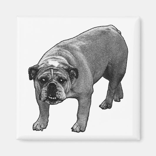 Aimant Aide sur les points de réfrigérateur (Devant)