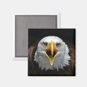 AIMANT AIGLE (Recto/Verso)