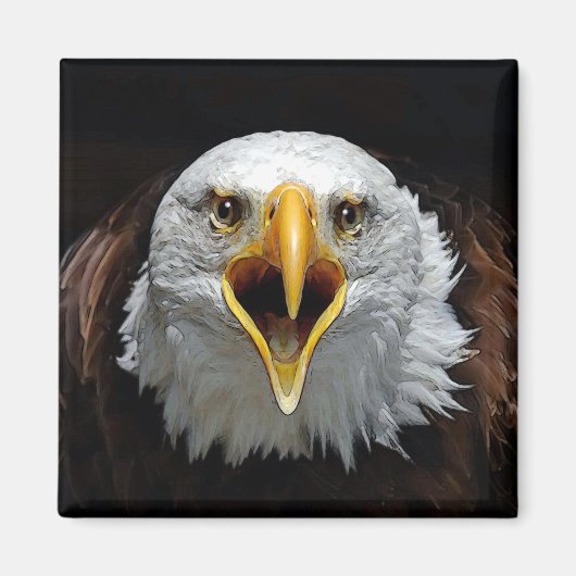 AIMANT AIGLE (Devant)
