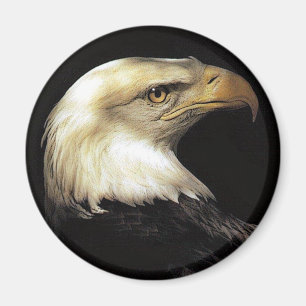 Aimant aigle