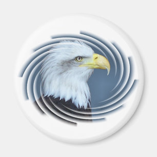 AIMANT AIGLE