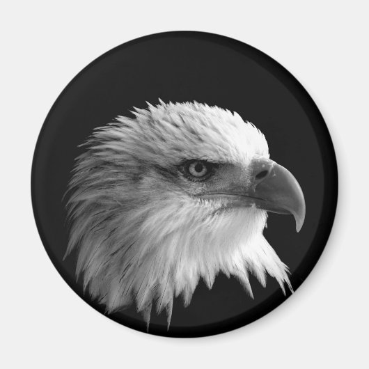 Aimant Aigle (Devant)