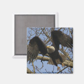 Aimant Aigle à bald (Recto/Verso)