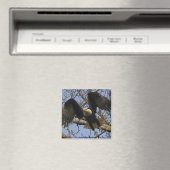 Aimant Aigle à bald (In Situ (Lave-vaisselle))