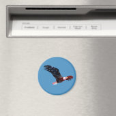 Aimant Aigle à dos bleu (In Situ (Lave-vaisselle))