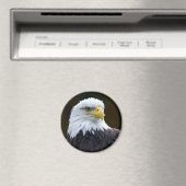 Aimant Aigle à tête blanche américaine (In Situ (Lave-vaisselle))