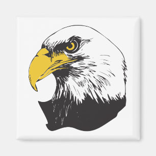 Aimant Aigle à tête blanche américaine