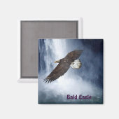 Aimant Aigle à tête blanche et cascade Faune et Nature Ma (Recto/Verso)