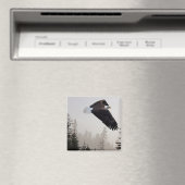 Aimant Aigle à tête blanche qui s'envole à travers la fos (In Situ (Lave-vaisselle))
