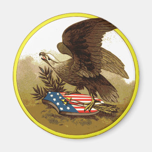 Aimant Aigle Américain Vintage