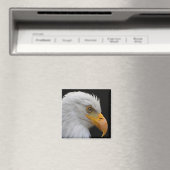 Aimant Aigle de Bald (In Situ (Lave-vaisselle))