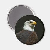 Aimant Aigle de Bald (Recto/Verso)