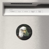 Aimant Aigle de Bald (In Situ (Lave-vaisselle))