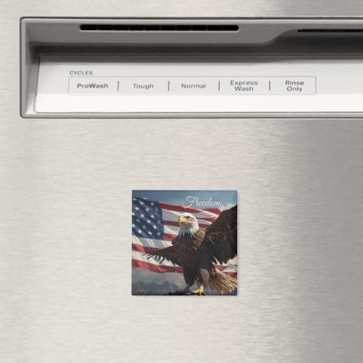 Aimant Aigle de la liberté (In Situ (Lave-vaisselle))